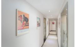 鄭州盤大教育 專業法語與意大利語服務，完善您的多語學習之旅